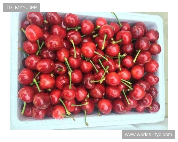 太阳app下载官方最新版本更新内容，带来更流畅的使用体验