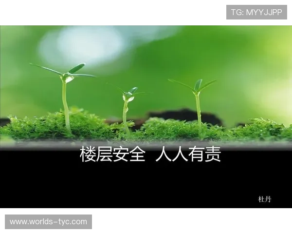 太阳贵宾厅登录网站安全保障措施,保障您的账户信息安全无忧 太阳贵宾厅登录网站安全保障措施,保障您的账户信息安全无忧