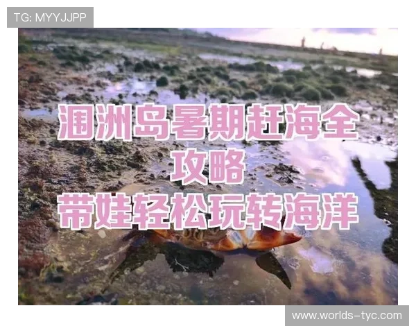 澳门太阳城官网app下载，详细教程带你轻松掌握下载安装流程