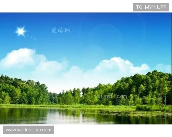 太阳下载网站详细介绍及使用指南帮助新手玩家轻松上手游戏下载流程